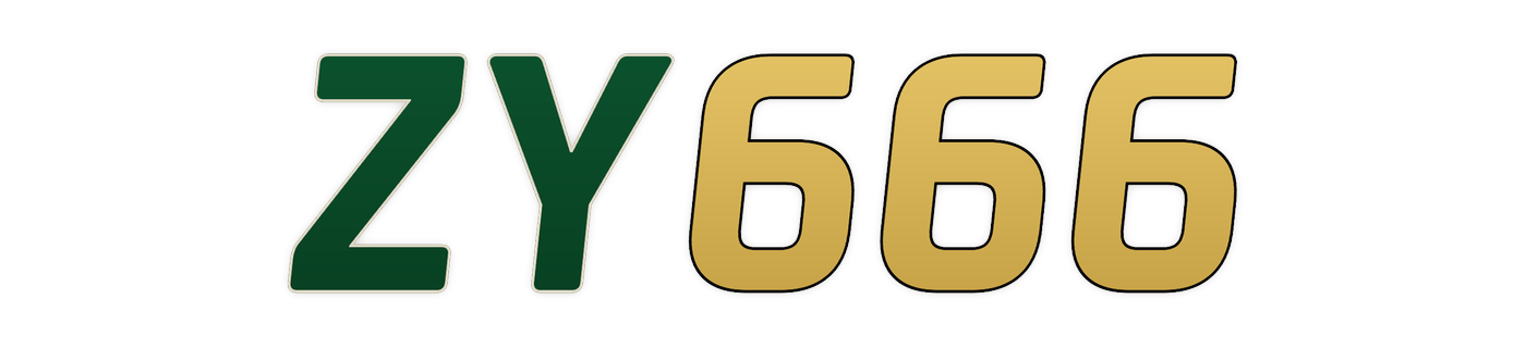 zy666